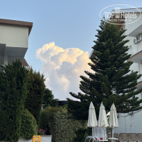 фото из отзыва ID 2739944