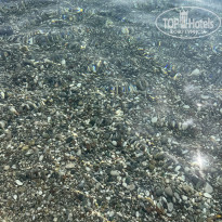 фото из отзыва ID 2739940