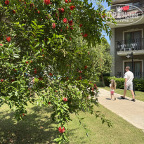 фото из отзыва ID 2739940