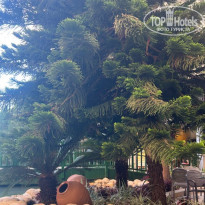 фото из отзыва ID 2739950