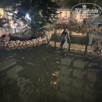 фото из отзыва ID 2739950