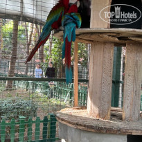 фото из отзыва ID 2739950