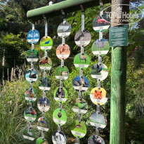 фото из отзыва ID 2739950