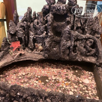 фото из отзыва ID 2739950