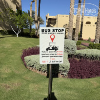 фото из отзыва ID 2739959