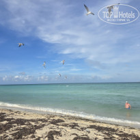 фото из отзыва ID 2739966