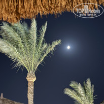 фото из отзыва ID 2739974