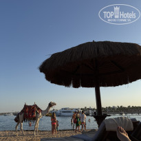 фото из отзыва ID 2739974