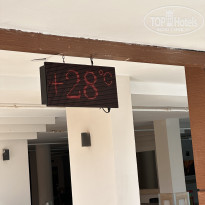 фото из отзыва ID 2739990