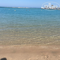 фото из отзыва ID 2739996