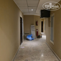 фото из отзыва ID 2739024