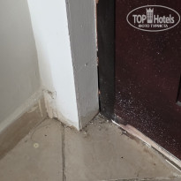 фото из отзыва ID 2739024