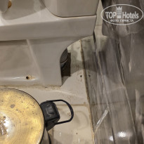 фото из отзыва ID 2739024