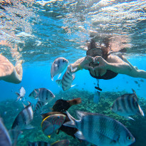 фото из отзыва ID 2734209