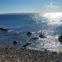 фото из отзыва ID 2734209