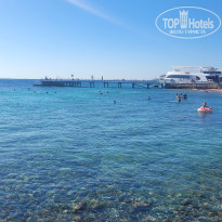 фото из отзыва ID 2734209