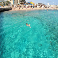 фото из отзыва ID 2734209