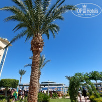 фото из отзыва ID 2734209