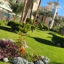 фото из отзыва ID 2734209