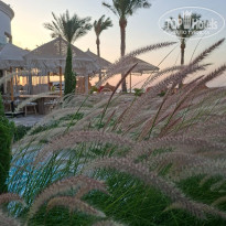 фото из отзыва ID 2736011