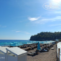 фото из отзыва ID 2739594