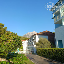 фото из отзыва ID 2739594