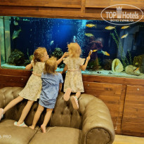 фото из отзыва ID 2739594