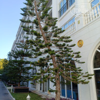 фото из отзыва ID 2739594