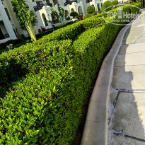 фото из отзыва ID 2739843