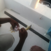 фото из отзыва ID 2737380