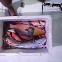 фото из отзыва ID 2737380