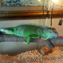 фото из отзыва ID 2735086