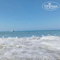 фото из отзыва ID 2735086