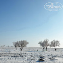 фото из отзыва ID 2735745