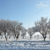 фото из отзыва ID 2735745