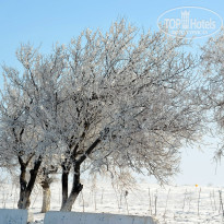 фото из отзыва ID 2735745