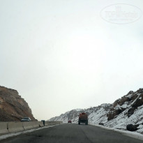 фото из отзыва ID 2735745