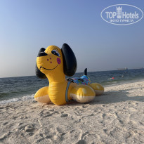 фото из отзыва ID 2735554