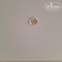 фото из отзыва ID 2739649