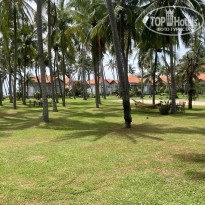 фото из отзыва ID 2740956