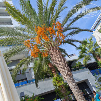 фото из отзыва ID 2740001