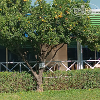 фото из отзыва ID 2740013