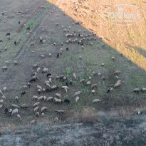 фото из отзыва ID 2740013