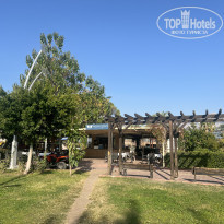 фото из отзыва ID 2740010