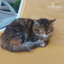 фото из отзыва ID 2740029