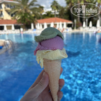 фото из отзыва ID 2740039