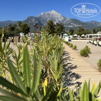 фото из отзыва ID 2740039