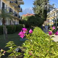 фото из отзыва ID 2740039