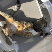 фото из отзыва ID 2740039