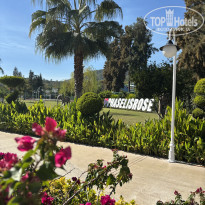 фото из отзыва ID 2740039